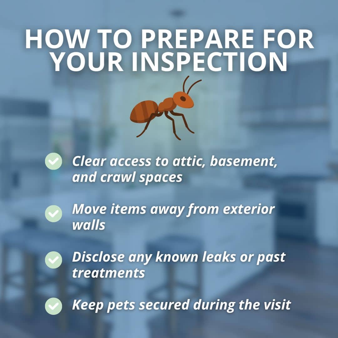 Checklist graphic showing four tips to prepare for a pest inspection: clear access to attic and crawl spaces, move items from exterior walls, disclose known leaks, and secure pets