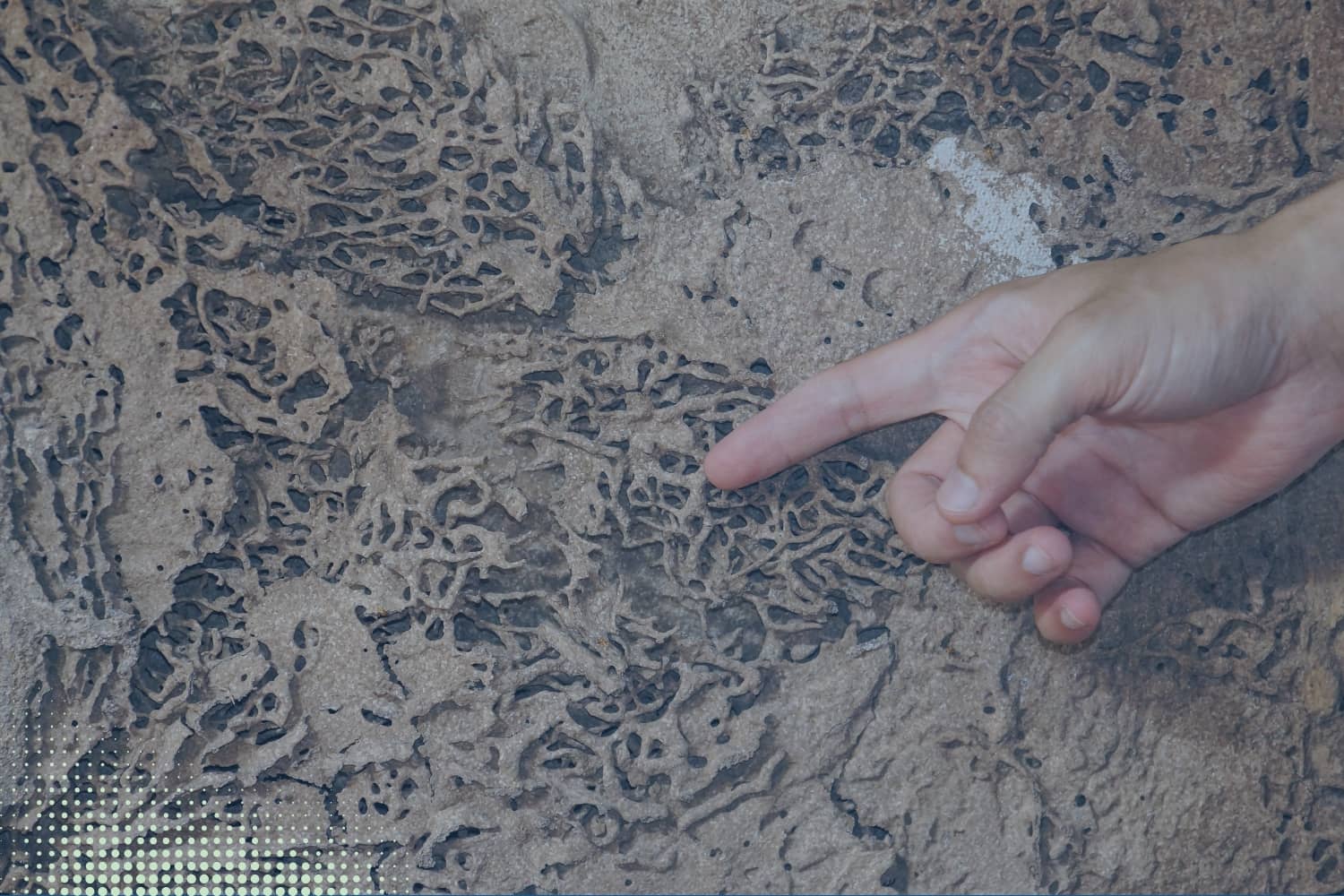 Indoor Air Quality Testing Service