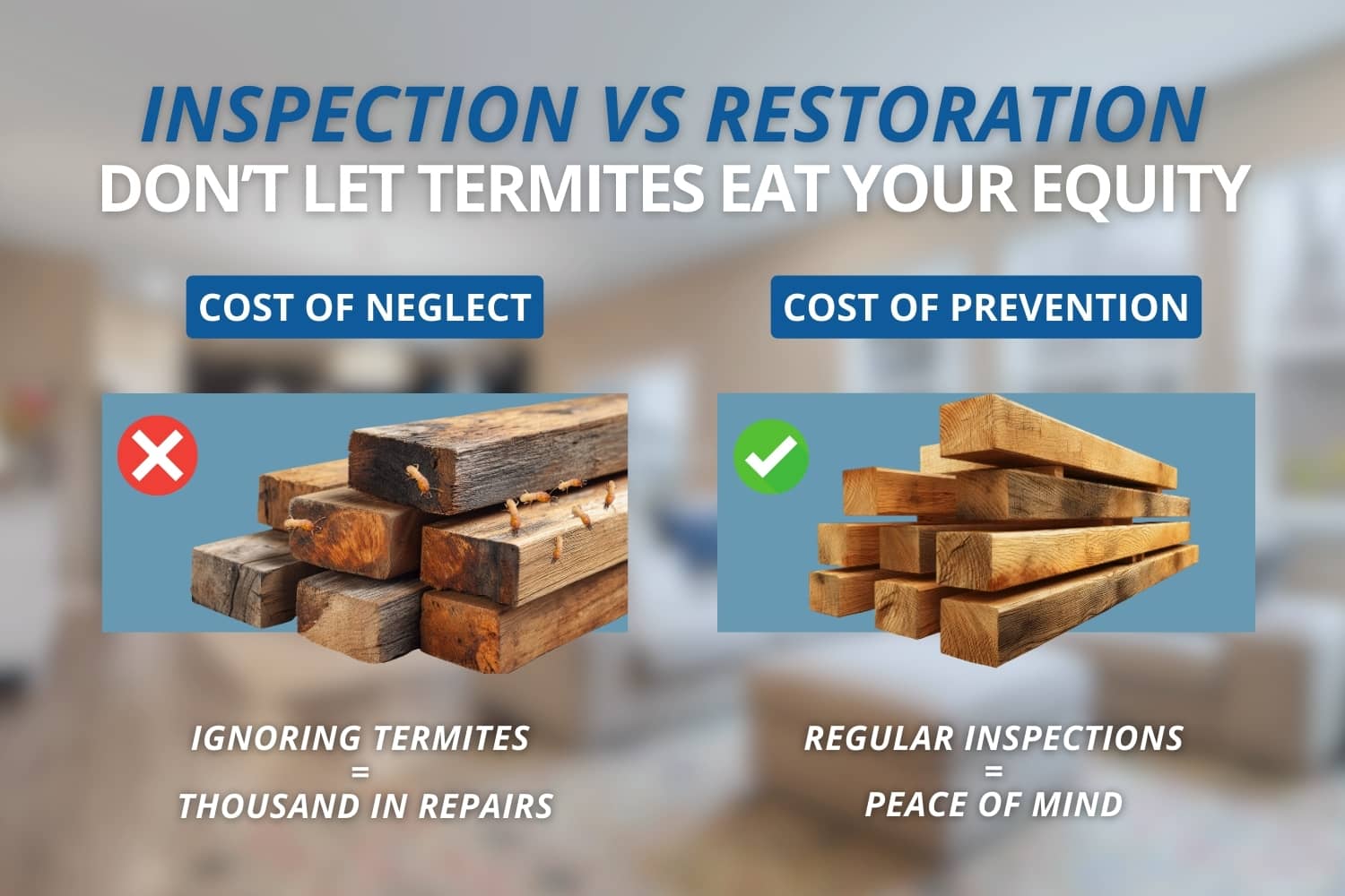 Side-by-side comparison showing how regular termite inspections cost far less than major repairs caused by neglected infestations.