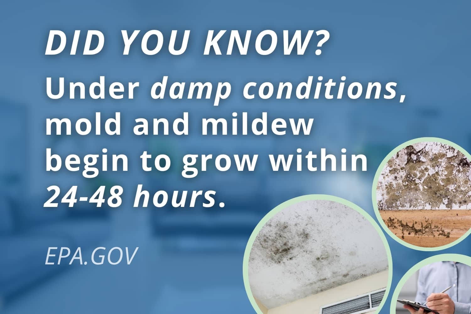 Infographic showing a 24 to 48-hour timeline for mold and mildew growth in damp conditions, citing EPA guidelines.