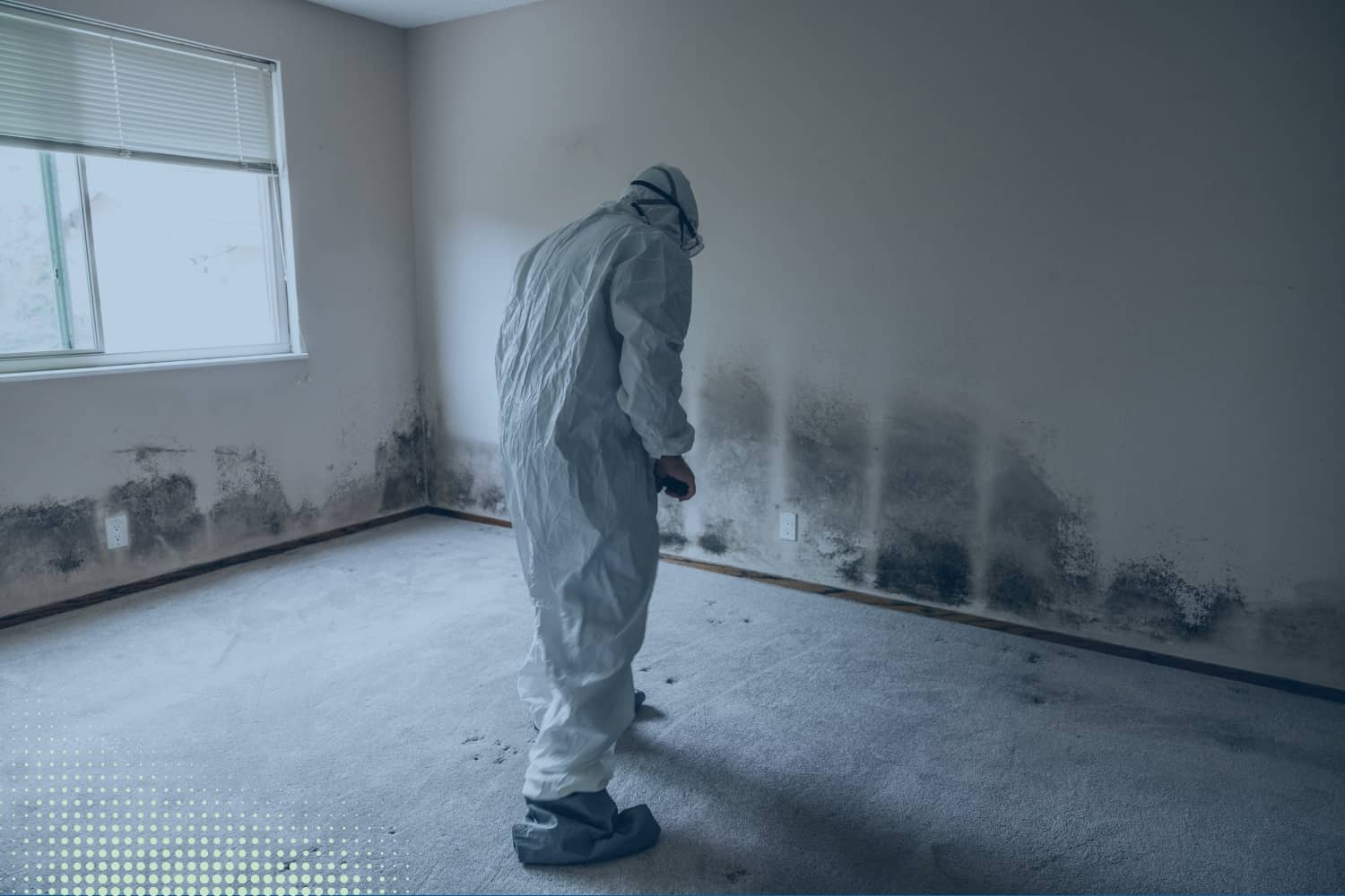 Indoor Air Quality Testing Service