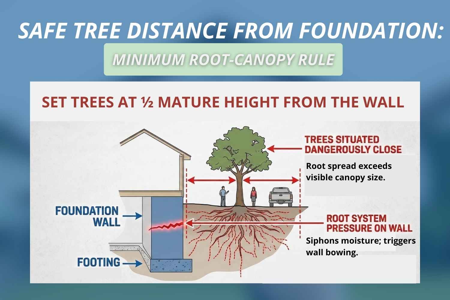 echnical graphic showing how root systems extending 1.5–3x the canopy width cause lateral thrust and structural damage to basement foundation walls.