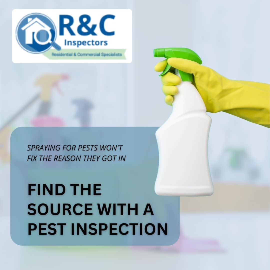 Spraying for pests won't fix the reason they got in. Find the source with a pest inspection R&C Inspectors